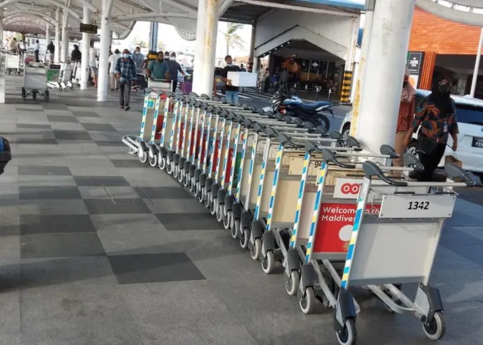 Orman Evi O Cupido *